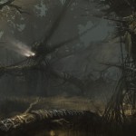 Accursed Woods
